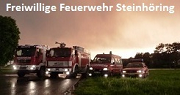ffw steinhoering